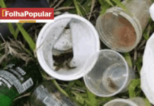 Secretarias municipais de saúde e a GRS Itabira promovem mais um Dia D contra o Aedes aegypti