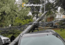 Saiba o que fazer em caso de fio partido sobre veículos