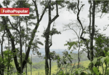 Principal suspeito da PM foge de operação no bairro Madre Maria de Jesus