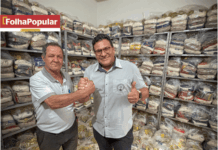 Sindicato Metabase arrecada mais de 48 mil quilos de alimentos na Semana do Trabalhador 2026