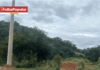 Santa Maria de Itabira oficializa terreno e pleiteia a construção de 100 casas populares