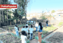 Projeto que une educação, alimentação saudável e consciência ambiental chegam a novas escolas de Itabira