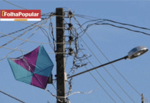 Pipas deixam mais de 313 mil clientes sem energia em Minas Gerais no 1º semestre de 2026