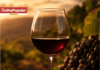 Primeira edição do Festival de Vinhos de Itabira entra na reta decisiva de vendas e promete experiência inédita na região