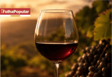 Primeira edição do Festival de Vinhos de Itabira entra na reta decisiva de vendas e promete experiência inédita na região