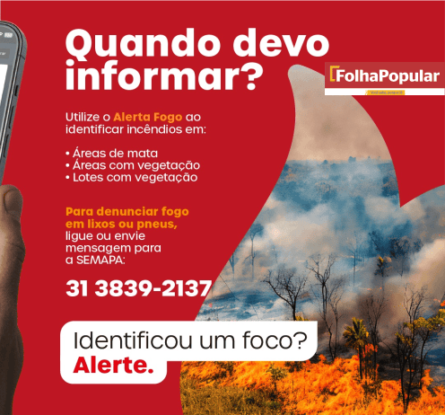site 2 fogo